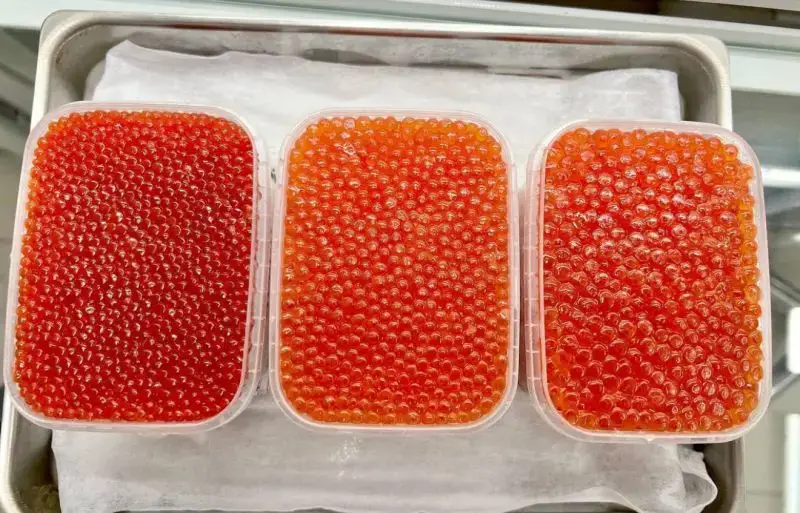 Kamchatka Pink Salmon Roe Passes Quality and Safety Inspection