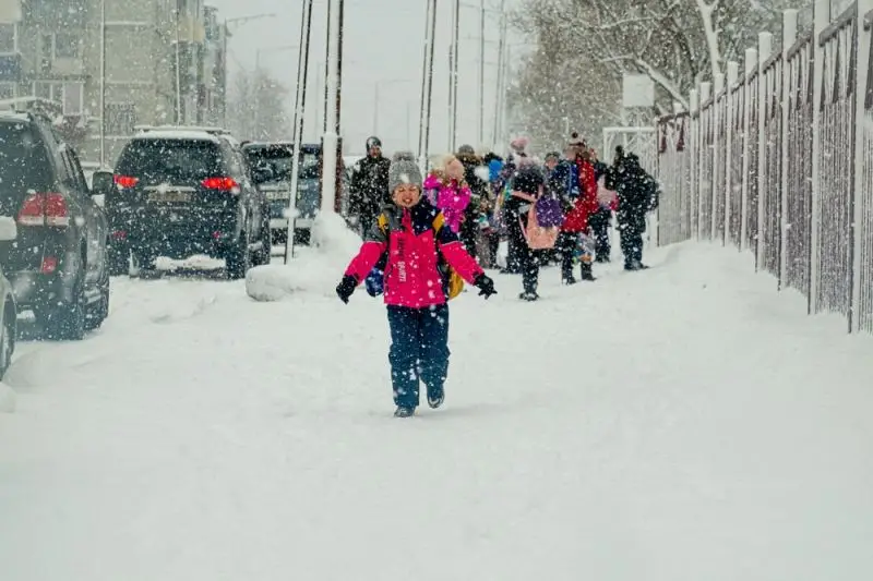 In early December, Kamchatka came under the influence of cyclones that brought warm weather