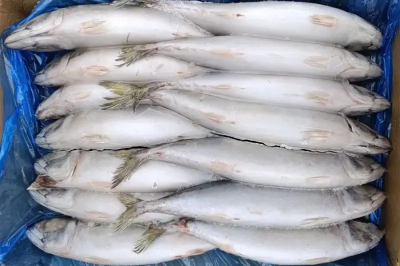 Kamchatka Ships Over 27,000 Tonnes of Seafood Abroad