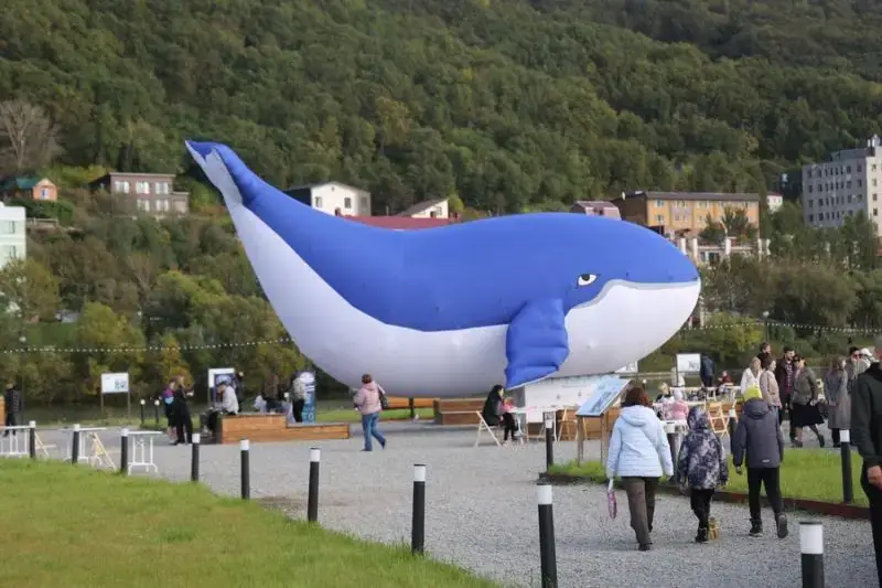 The "Sea of Life" environmental festival was held in Petropavlovsk-Kamchatsky