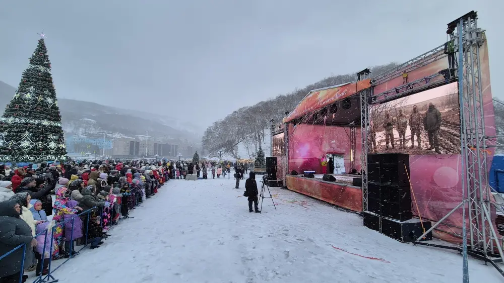 New Year's celebrations took place in the center of Petropavlovsk-Kamchatsky