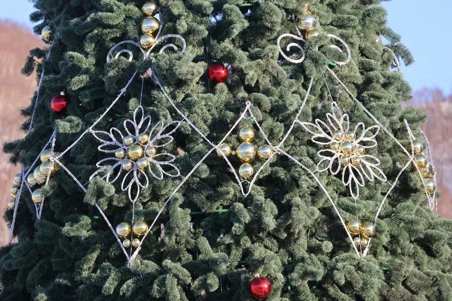 The main Christmas tree of Petropavlovsk-Kamchatsky sparkled with New Year's lights