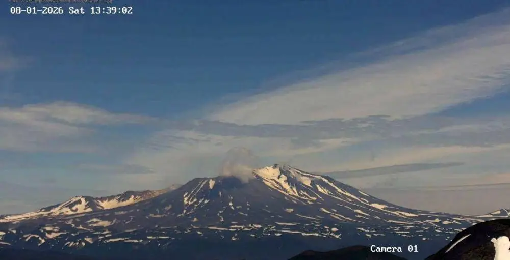 A new camera has been installed to monitor Mutnovsky Volcano in Kamchatka.
