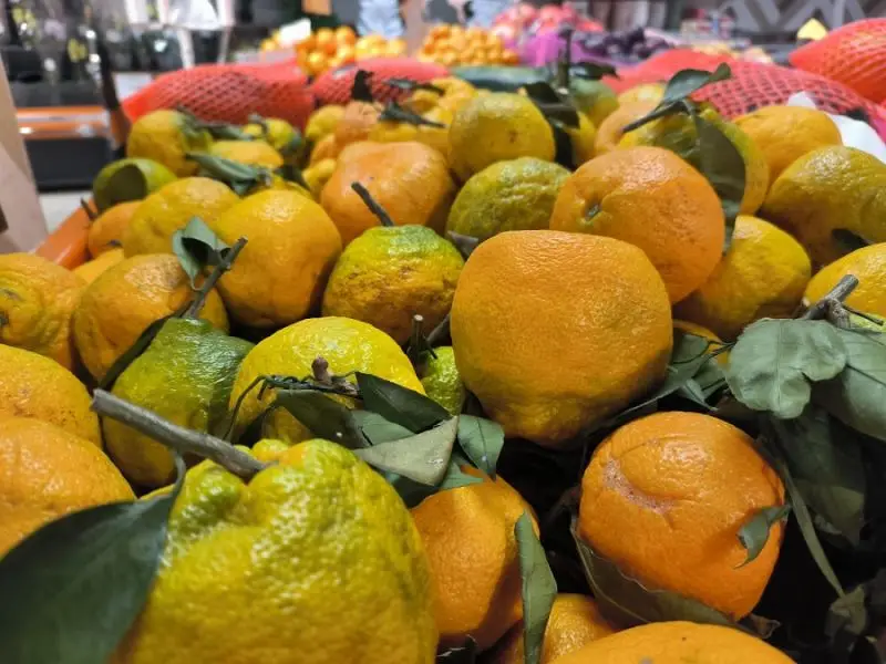 Tangerine Time