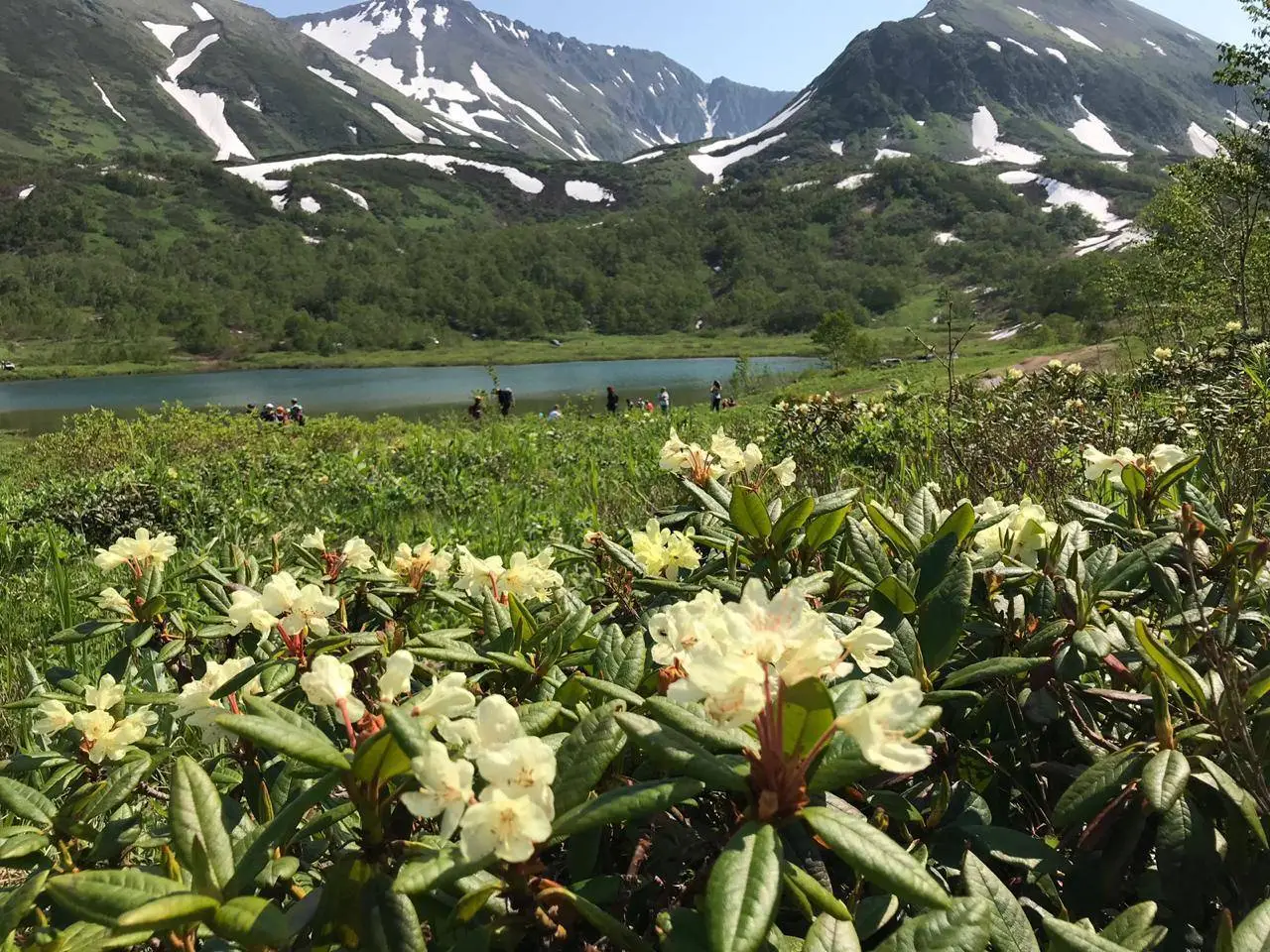 Nalychevo Valley and Thermal Springs