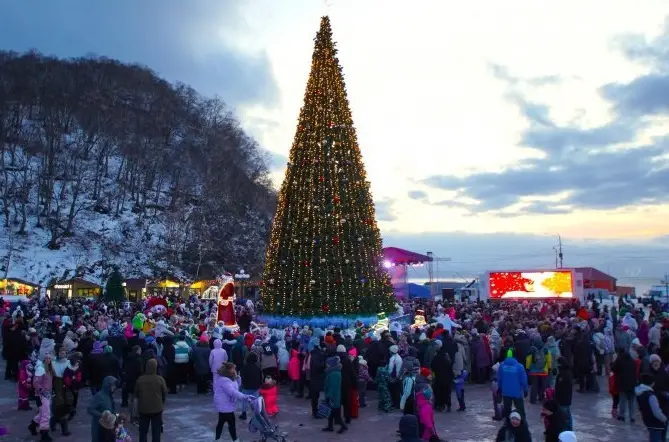 Residents of Petropavlovsk-Kamchatsky are invited to the opening of the main Christmas tree