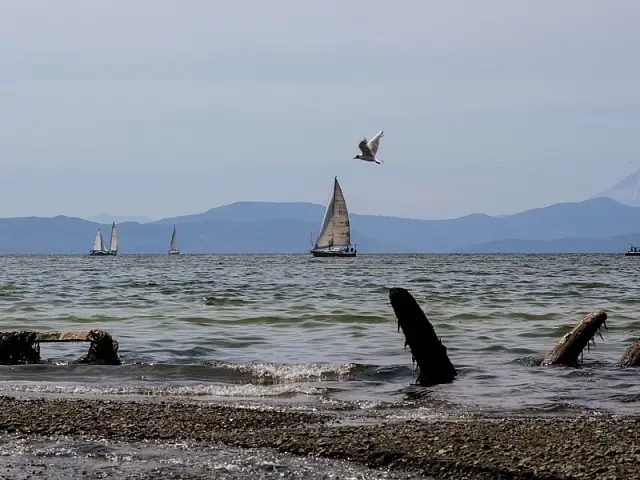 On the shore of Avacha Bay