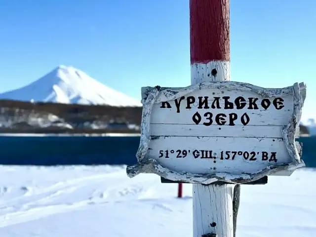 At Kuril Lake in Kamchatka, bears catch sockeye salmon under protection