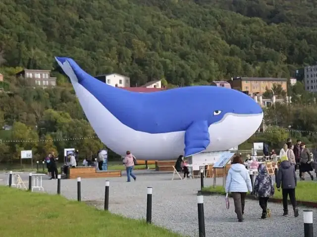 The "Sea of Life" environmental festival was held in Petropavlovsk-Kamchatsky