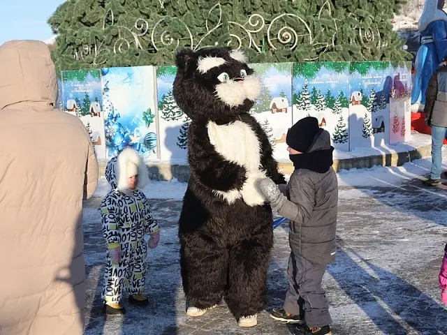 The main Christmas tree of Petropavlovsk-Kamchatsky sparkled with New Year's lights