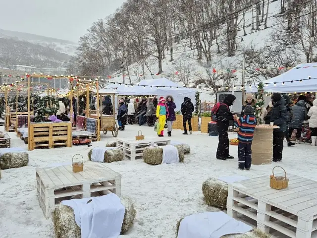 New Year's celebrations took place in the center of Petropavlovsk-Kamchatsky