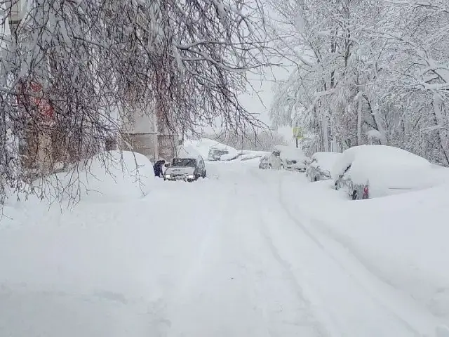 Kamchatka in the Blizzard: A Photo Report from Under the Snow