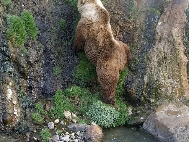 On Kamchatka, Only Volcanoes Are Higher Than Mountains