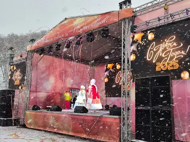 New Year's celebrations took place in the center of Petropavlovsk-Kamchatsky
