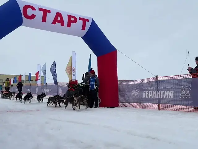 Kamchatka has seen the finish of the big dogsledding competition 'Beringia'