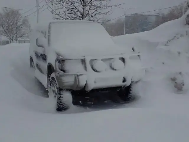 Kamchatka in the Blizzard: A Photo Report from Under the Snow