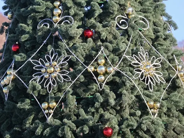 The main Christmas tree of Petropavlovsk-Kamchatsky sparkled with New Year's lights