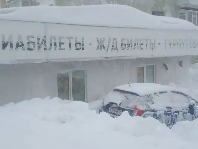 Kamchatka in the Blizzard: A Photo Report from Under the Snow