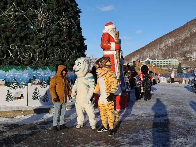 The main Christmas tree of Petropavlovsk-Kamchatsky sparkled with New Year's lights