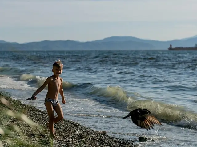 On the shore of Avacha Bay