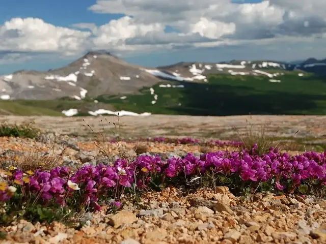 On Kamchatka, Only Volcanoes Are Higher Than Mountains