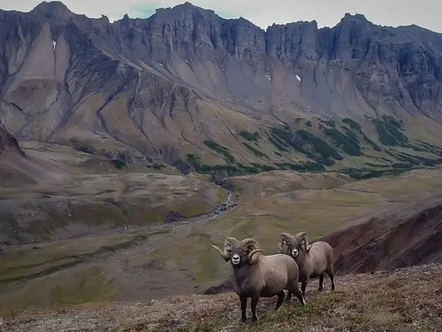 On Kamchatka, Only Volcanoes Are Higher Than Mountains