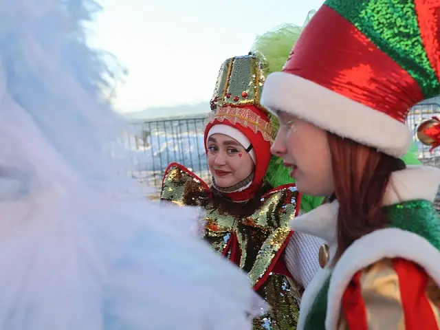 The main Christmas tree of Petropavlovsk-Kamchatsky sparkled with New Year's lights