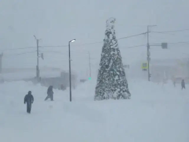 Kamchatka in the Blizzard: A Photo Report from Under the Snow