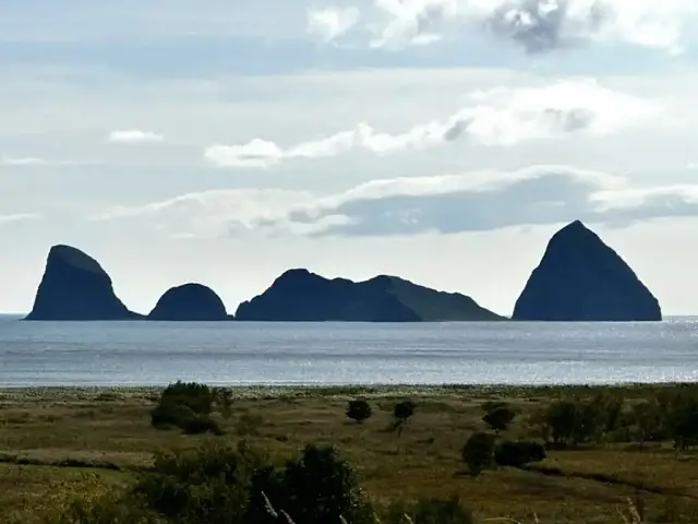 At Kuril Lake in Kamchatka, bears catch sockeye salmon under protection