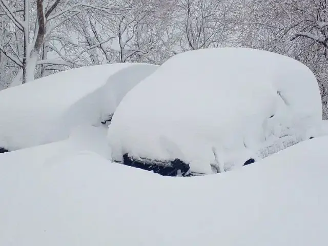 Kamchatka in the Blizzard: A Photo Report from Under the Snow