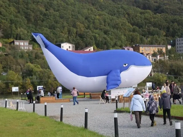 The "Sea of Life" environmental festival was held in Petropavlovsk-Kamchatsky