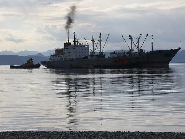 The "Sea of Life" environmental festival was held in Petropavlovsk-Kamchatsky