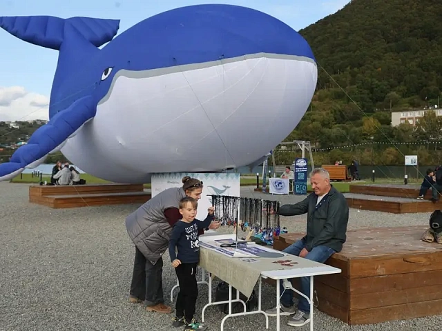 The "Sea of Life" environmental festival was held in Petropavlovsk-Kamchatsky