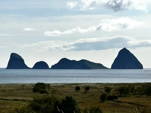 At Kuril Lake in Kamchatka, bears catch sockeye salmon under protection